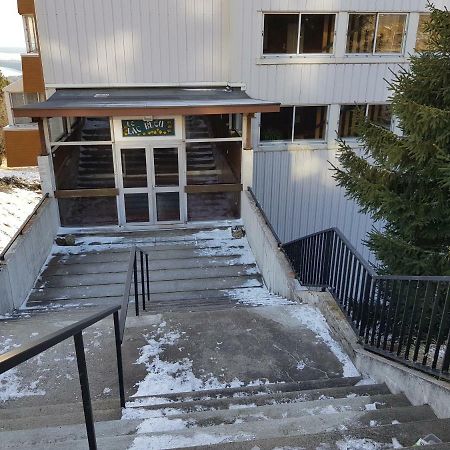 Piste Verte Apartment Besse-et-Saint-Anastaise Exterior photo