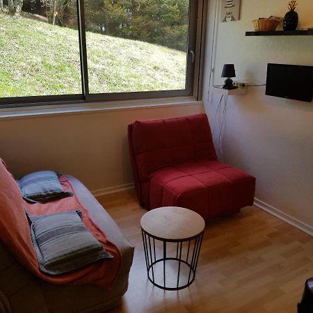 Piste Verte Apartment Besse-et-Saint-Anastaise Exterior photo